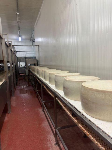 Parmesan and Balsamic Food Tour with Ferrari Museum - What the $271.88 price means