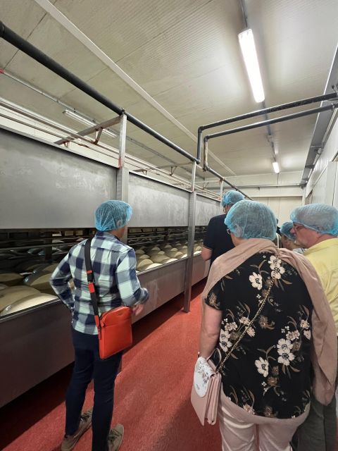 Parmesan and Balsamic Food Tour with Ferrari Museum - Who should book this experience