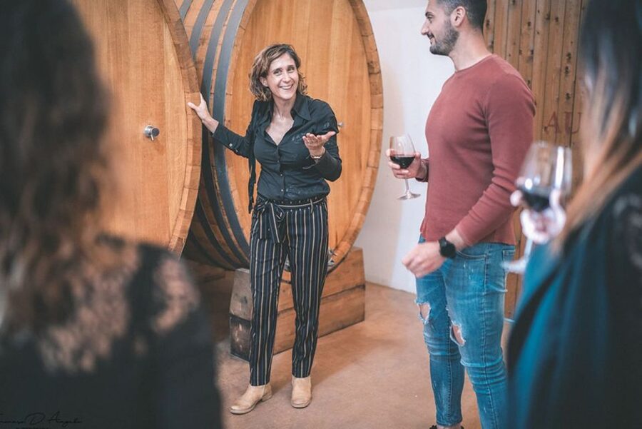 Partinico: Historic Sicilian Vineyard & Wine Tasting Tour - Follow the wine from production to bottle