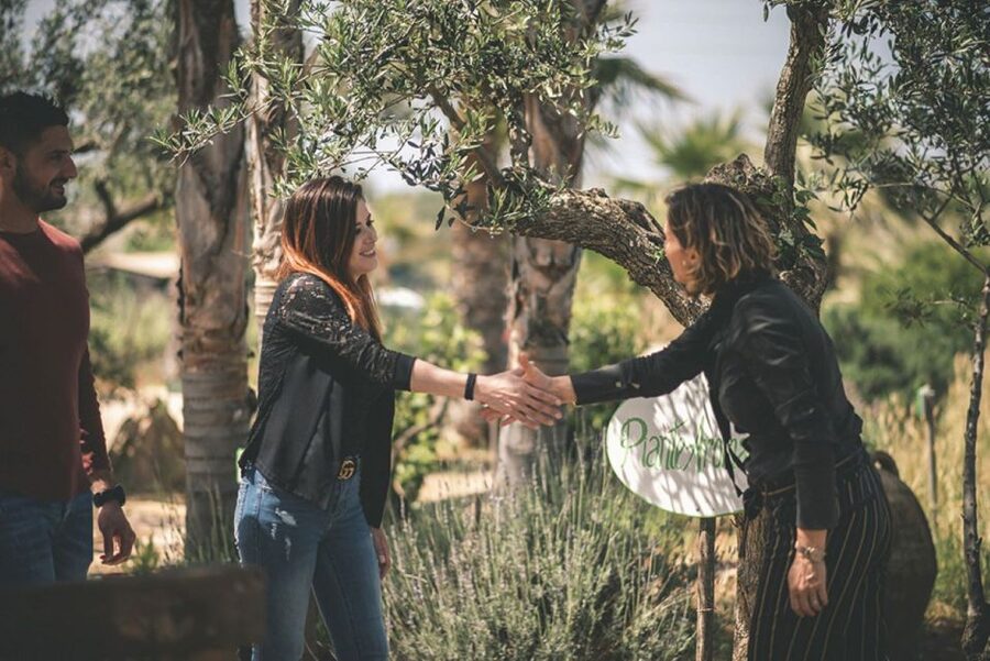 Partinico: Historic Sicilian Vineyard & Wine Tasting Tour - Start with vineyards, olive trees, and citrus