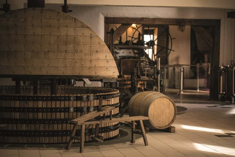 Passy-Grigny: Chocolate and Champagne Tasting Tour - What Happens During the 90-Minute Visit