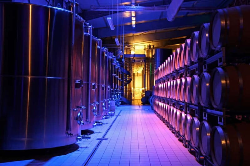 Passy-Grigny: Chocolate and Champagne Tasting Tour - From the First Press to the Modern Vat House