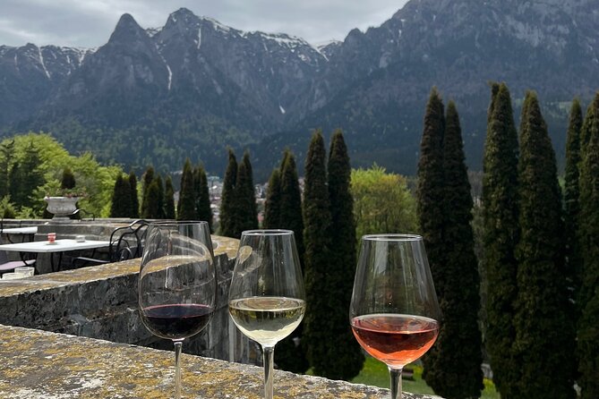 Peles & Cantacuzino Castles: Gourmet Wine & Cultural Day trip - Timing, seasons, and practical planning