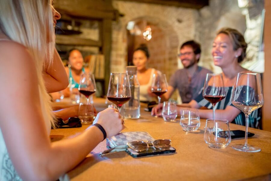 Pelješac Full-Day Wine and Food Tour from Dubrovnik - What makes this Pelješac day trip special