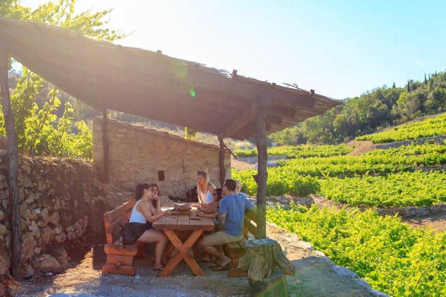 Pelješac Full-Day Wine and Food Tour from Dubrovnik - Ston, salt works, and the start of the oyster trail