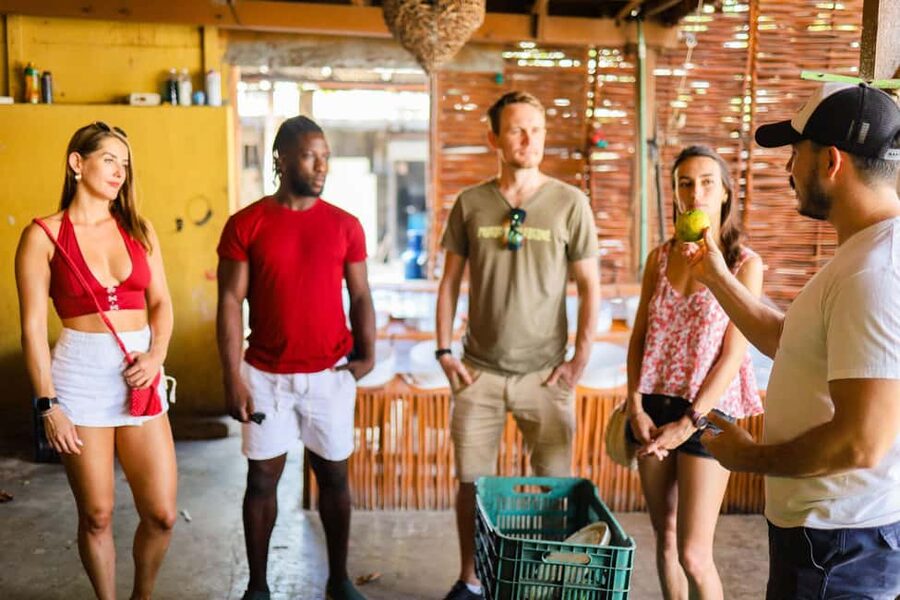 Playa del Carmen: 3-Hour Local Food Walking Tour - Timing, comfort, and the walking demands