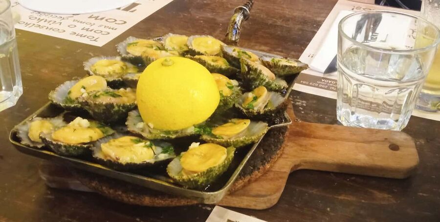 Ponta Delgada: Fat Dolphin Food Tours - Key points at a glance