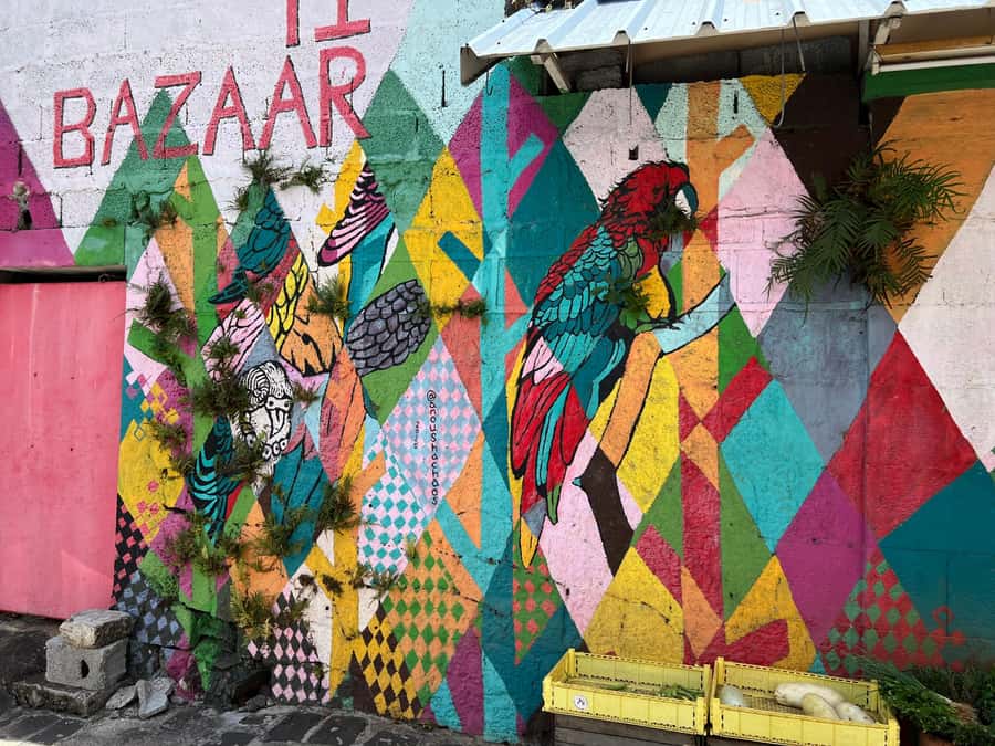 Port Louis: Street Food & City Tour - Old buildings, gardens, temples, and street art
