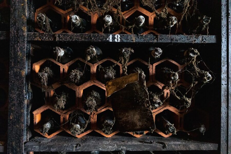 Porto: Food & Wine Tasting Walking Tour with Port Wine Cave - What the four hours feel like