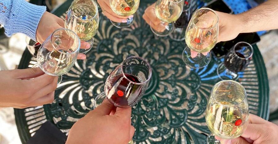Porto: Wine Tasting with Tapas Walking Tour - Learning to taste instead of simply drinking