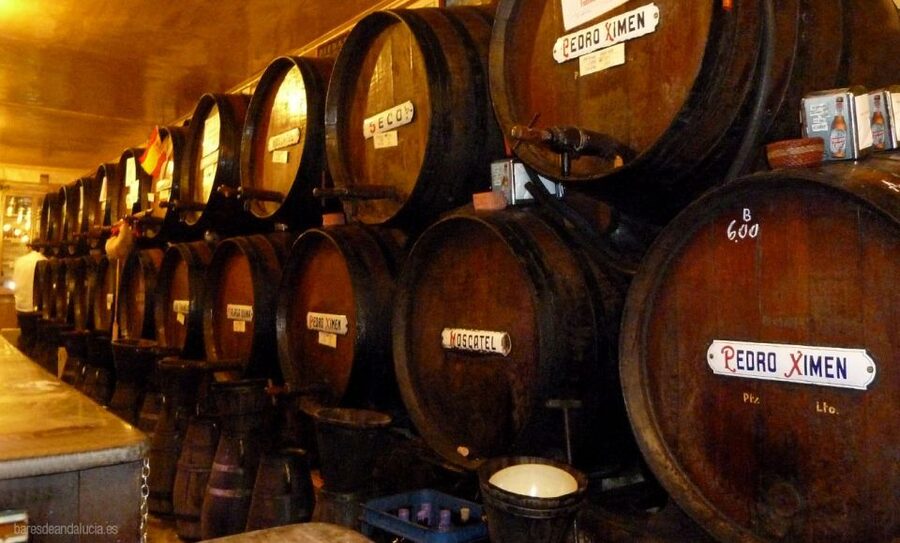 PREMIUM TAPAS TOUR: Paella, Market Tastings, and Winery - Who will enjoy this food walk most