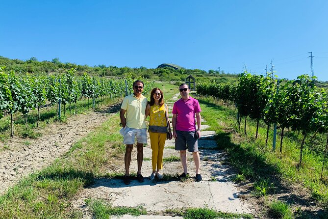 Private Bohemia Wine Tour from Prague with Gourmet Tastings - Why this tour is more than a tasting stop