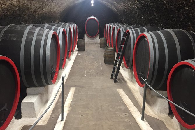 Private Bohemia Wine Tour from Prague with Gourmet Tastings - Velké Žernoseky and lunch below ground