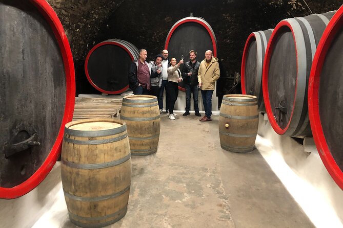 Private Bohemia Wine Tour from Prague with Gourmet Tastings - Třebívlice and the modern face of Czech wine
