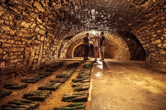 Private Bohemia Wine Tour from Prague with Gourmet Tastings - Mělník Château and the meeting of two rivers