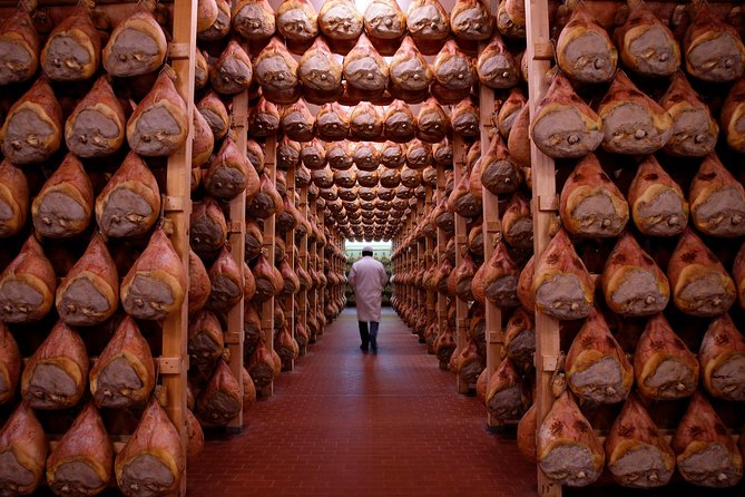 Private Emilia Romagna Food Tour Full Day - Parmigiano-Reggiano at the dairy