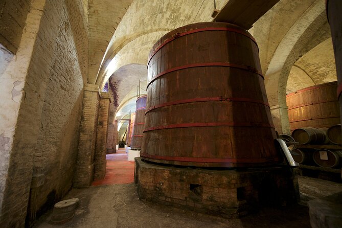 Private Food and Wine Tour in the Cellar with Tastings - Inside the cellar and barrel room