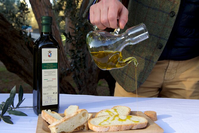 Private Food and Wine Tour in the Cellar with Tastings - Price, timing, and the value of a private visit