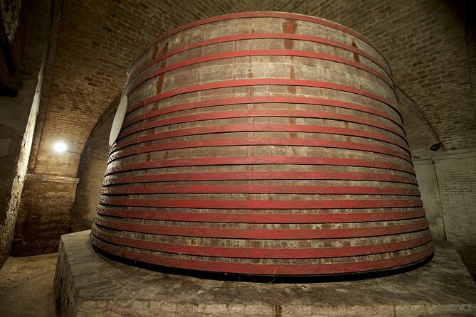 Private Food and Wine Tour in the Cellar with Tastings - Beginning with vineyards, olive trees, and local roots