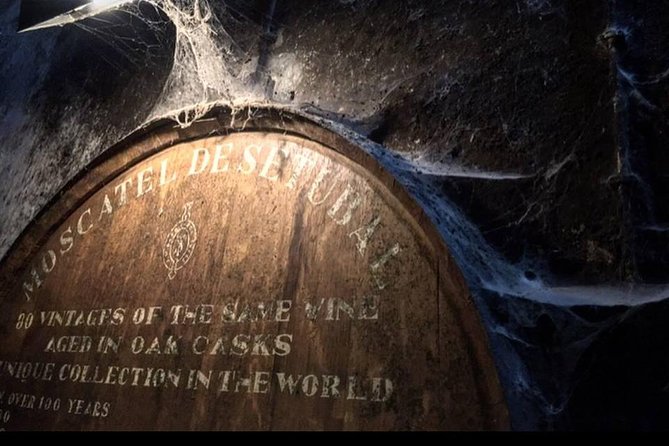 Private Lisbon Arrabida Wine Tour: Food & Wines, Mountain and Sea - From Lisbon to Setúbal’s Livramento Market