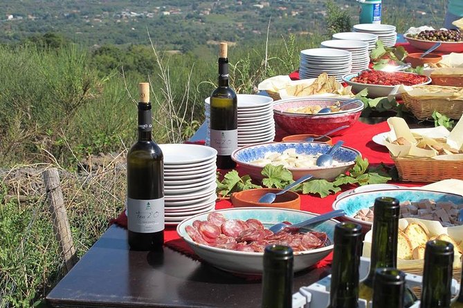Private tour of Etna and Winery Visit with Food and Wine Tasting from Taormina - From Taormina to Etna’s high slopes