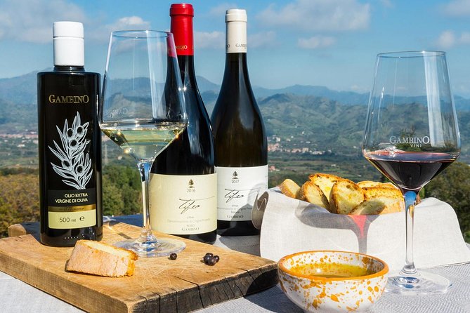 Private tour of Etna and Winery Visit with Food and Wine Tasting from Taormina - Walking the Silvestri Craters at 2,000 meters