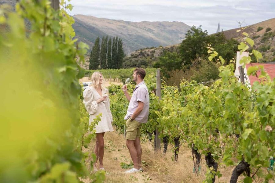 Queenstown: Wine & Food Tour, Scenic Tastings & Paired Lunch - Who should book this tour