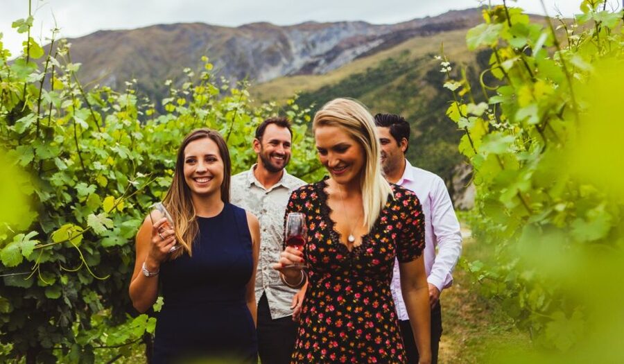 Queenstown: Wine Tasting Tour - What the guides add to the day