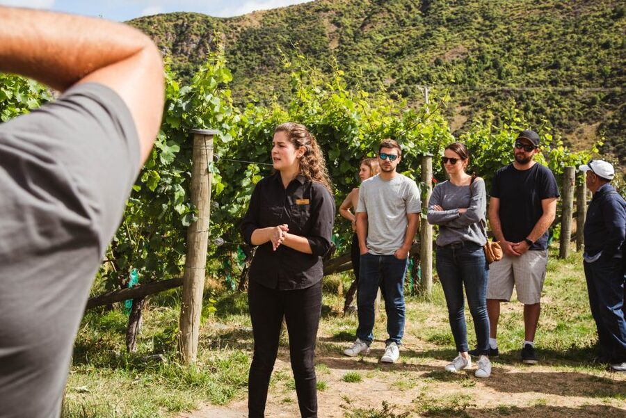 Queenstown: Wine Tasting Tour - The wine styles and the tasting pace