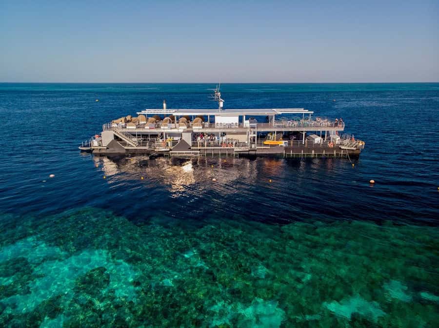 Reef Sleep: 2-Day Great Barrier Reef Pontoon & Gourmet Meals - Key points to know before you book