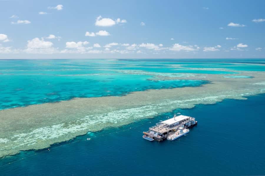 Reef Sleep: 2-Day Great Barrier Reef Pontoon & Gourmet Meals - Meals from morning tea to gourmet dinner