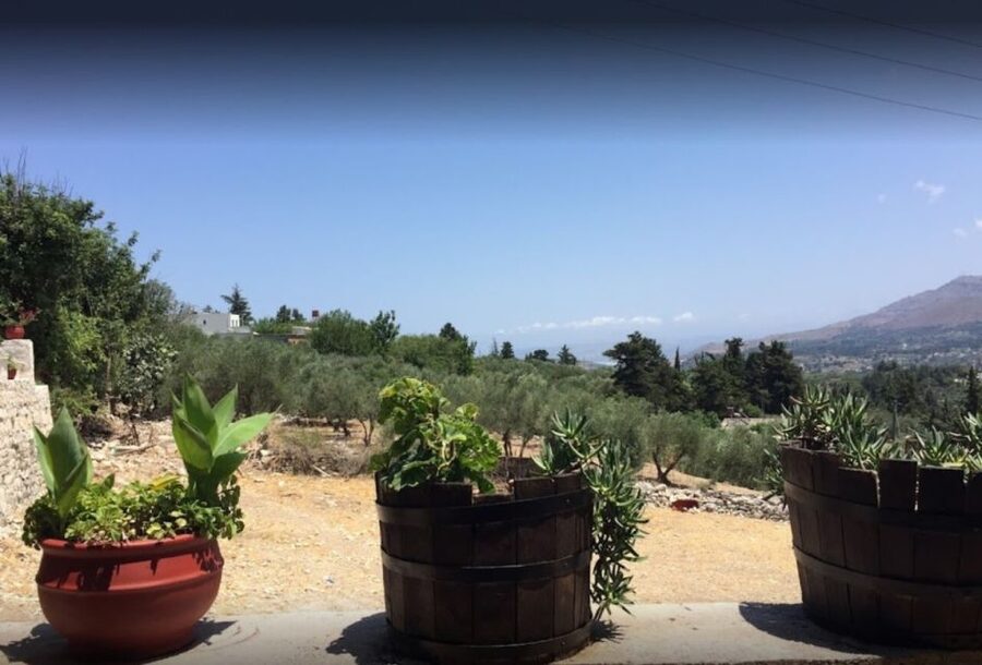 Rethymno: Private Winery & Olive Oil Tasting Tour with Lunch - A village lunch in Nipos or Vryses