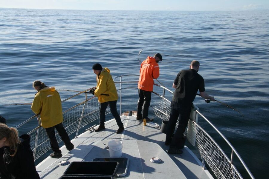 Reykjavik: 3-Hour Sea Angling Gourmet Experience Tour - What the fishing grounds offer