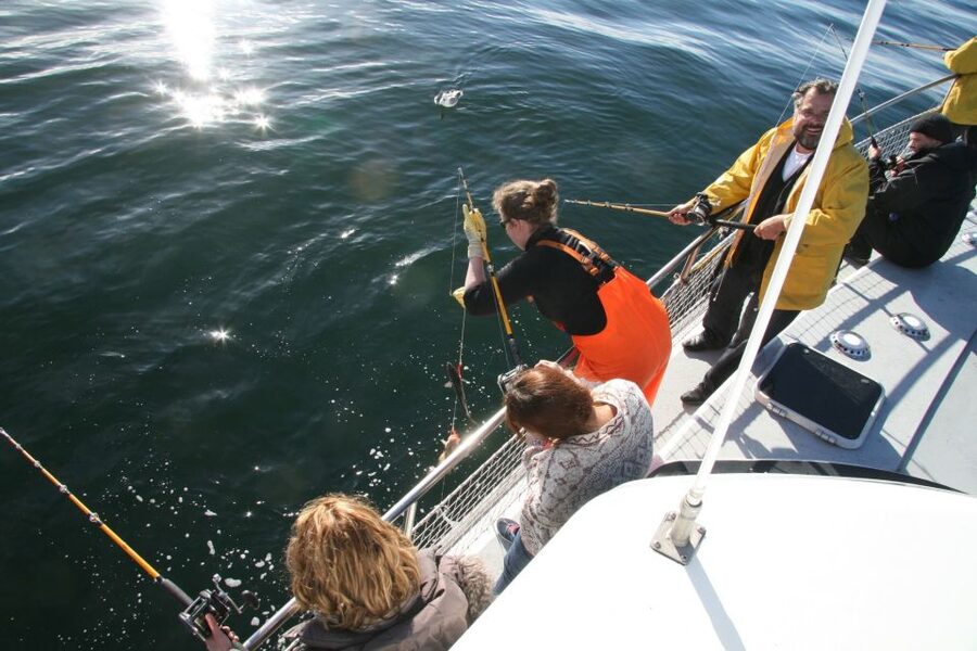 Reykjavik: 3-Hour Sea Angling Gourmet Experience Tour - Is $176 a fair price?