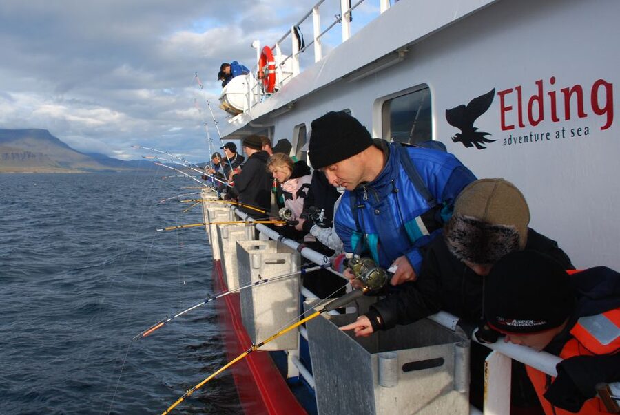 Reykjavik: 3-Hour Sea Angling Gourmet Experience Tour - Who will enjoy this Reykjavik fishing trip?