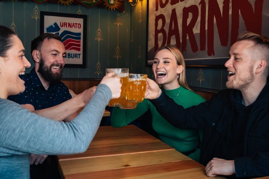 Reykjavik: Evening Icelandic Food and Drink Tour - The price: good value if you use the food as dinner
