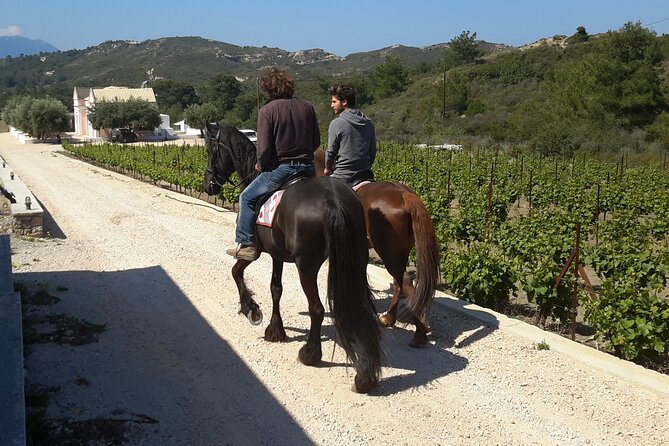 Rhodes Wine & Food Tour: 10 Meal Course Lunch, Wine Tasting, Cooking Class - Leaving Rhodes by comfortable transfer