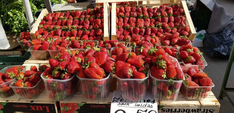 Riga: Central Market Latvian Food Tour - Group size, pace, and the market noise