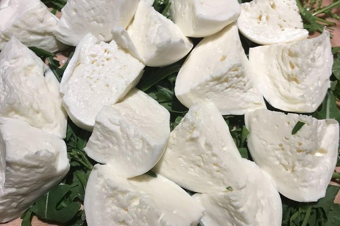 Roman Food Tour with Visit to the Trionfale Food Market - Group size, guide style, and the walking pace