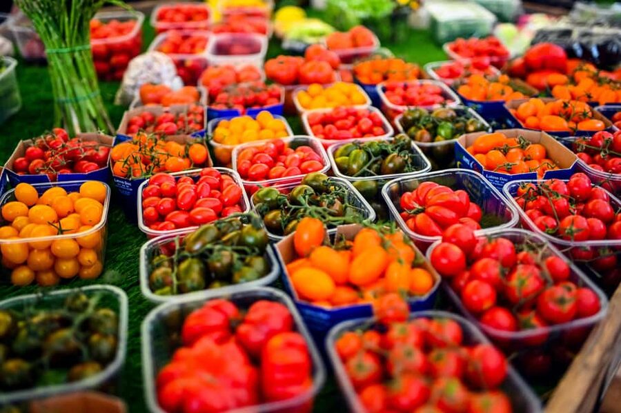 Rome: 3-Hour Guided Food Tour with Tastings - What the guides add to the food