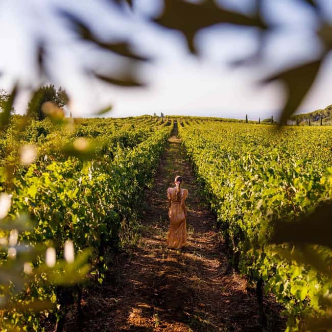 Rome: Private Castelli Romani Wine Tasting Tour - Why leave Rome for Castelli Romani?