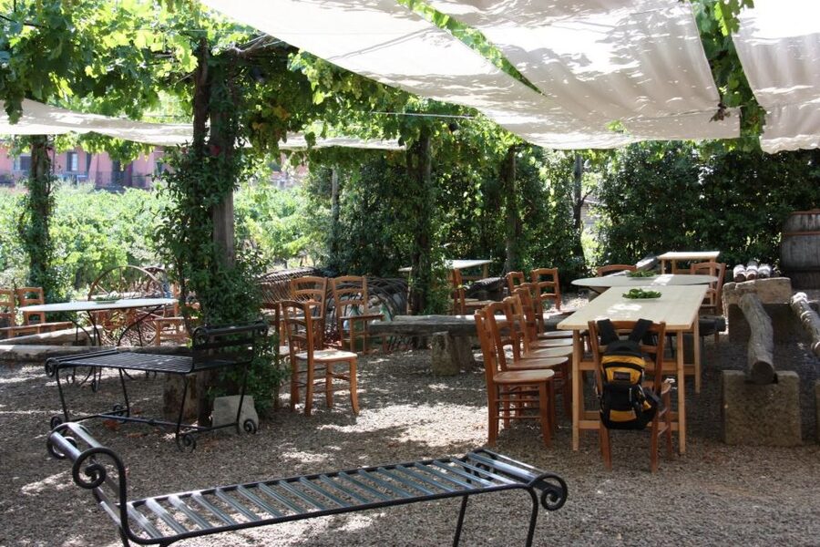 Rome: Private Castelli Romani Wine Tasting Tour - The cellar visit puts the tasting in context