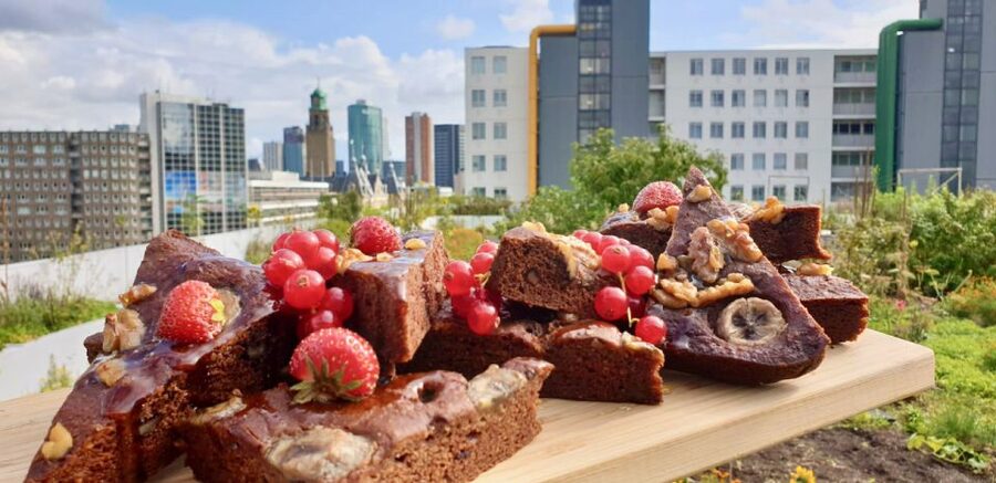 Rotterdam: Food Tour by Bike - Starting near Witte de Withstraat