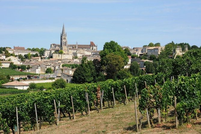 Saint-Émilion day tour: village visit, Châteaux and lunch - First château: cellar, tasting, and picnic lunch