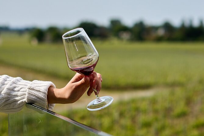 Saint-Émilion day tour: village visit, Châteaux and lunch - Two more estates and a broader look at Saint-Émilion wine