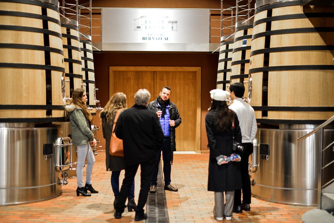 Saint-Emilion Food and Wine Day Tour - Who should book this Saint-Émilion tour