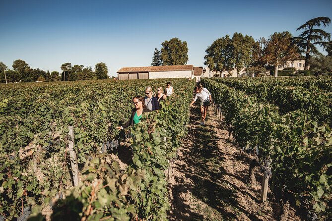 Saint-Emilion Food and Wine Day Tour - Leaving Bordeaux in a group of eight