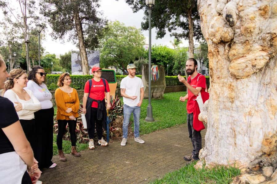 San José: Night Food and Culture Tour with Dinner - What the guide adds to the experience