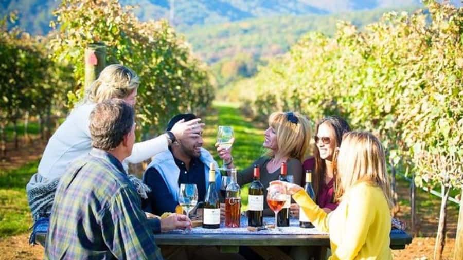 Santiago: Maipo Valley Wine Tasting Tour with 4 Vineyards - Campo La Quirinca: the farm that gives the day character