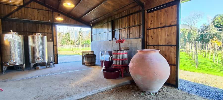 Santiago: Maipo Valley Wine Tasting Tour with 4 Vineyards - Santa Ema: a shorter tasting with polished presentation